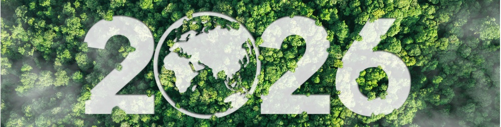 Grafica_sito animp Grafica_sito animp