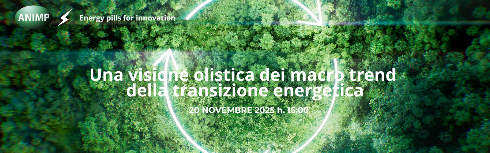 Grafica_sito_Webinar ENEA